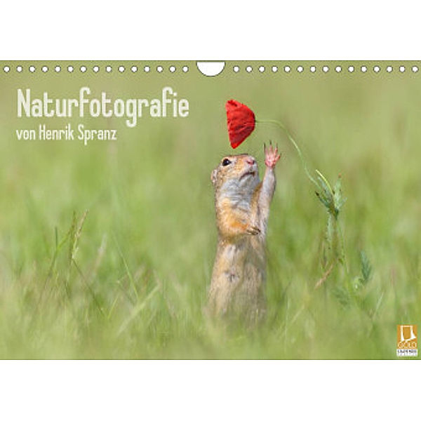 Naturfotografie (Wandkalender 2022 DIN A4 quer), Henrik Spranz
