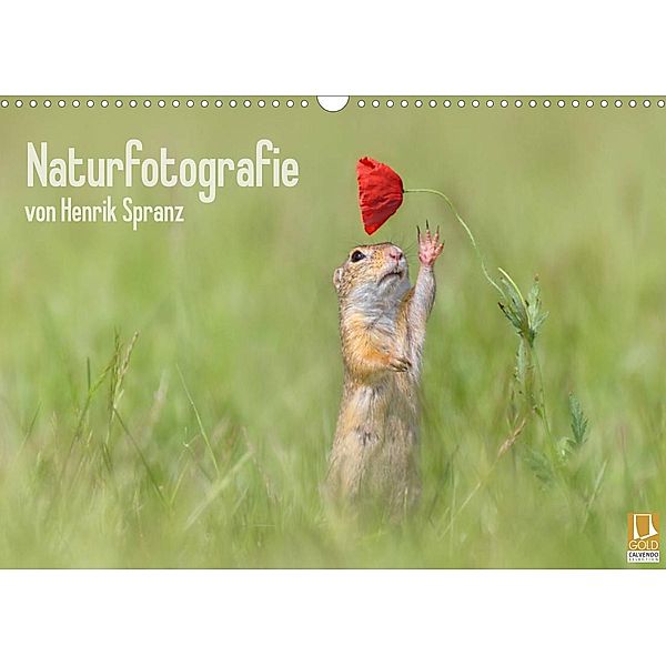 Naturfotografie (Wandkalender 2023 DIN A3 quer), Henrik Spranz