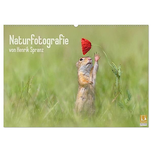 Naturfotografie (Wandkalender 2025 DIN A2 quer), CALVENDO Monatskalender, Calvendo, Henrik Spranz