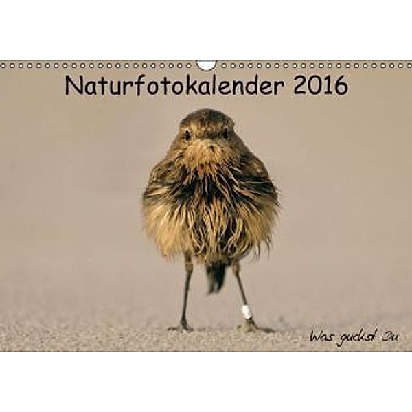 Naturfotokalender 2016 (Wandkalender 2016 DIN A3 quer), Holger Hübner
