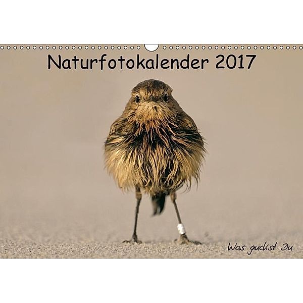 Naturfotokalender 2017 (Wandkalender 2017 DIN A3 quer), Holger Hübner