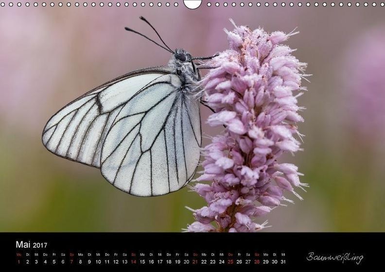 Naturfotokalender 2017 Wandkalender 2017 DIN A3 quer - Kalender bestellen
