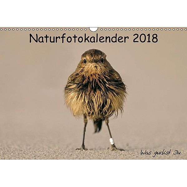 Naturfotokalender 2018 (Wandkalender 2018 DIN A3 quer), Holger Hübner