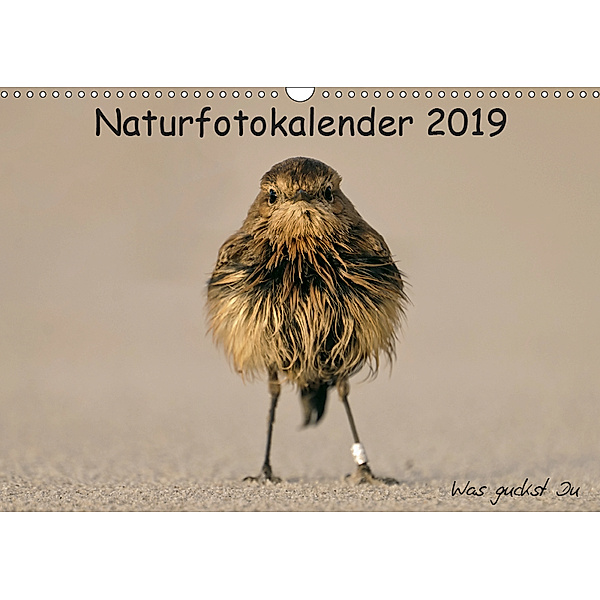 Naturfotokalender 2019 (Wandkalender 2019 DIN A3 quer), Holger Hübner