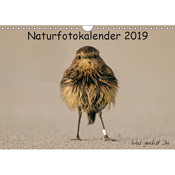 Naturfotokalender 2019 (Wandkalender 2019 DIN A4 quer), Holger Hübner