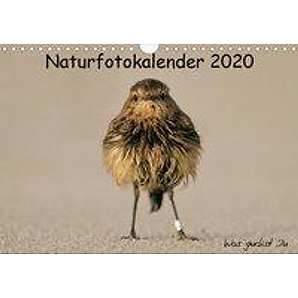 Naturfotokalender 2020 (Wandkalender 2020 DIN A4 quer), Holger Hübner