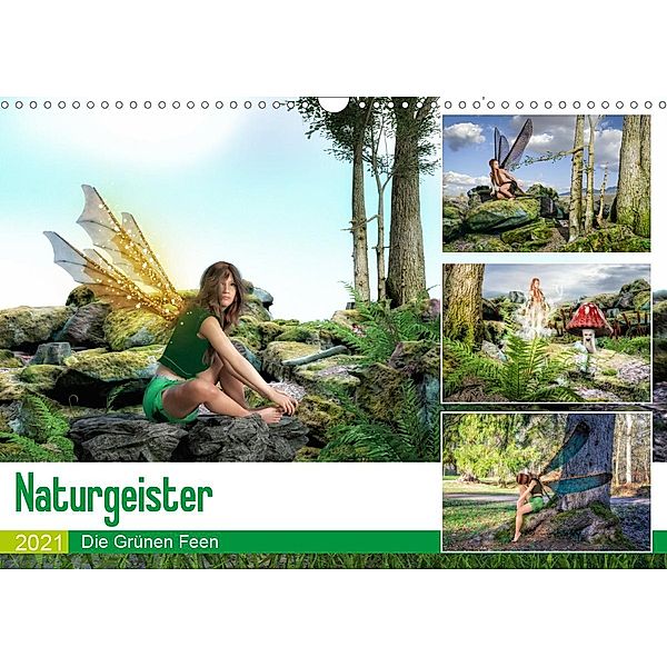 Naturgeister Die Grünen Feen (Wandkalender 2021 DIN A3 quer), Alain Gaymard