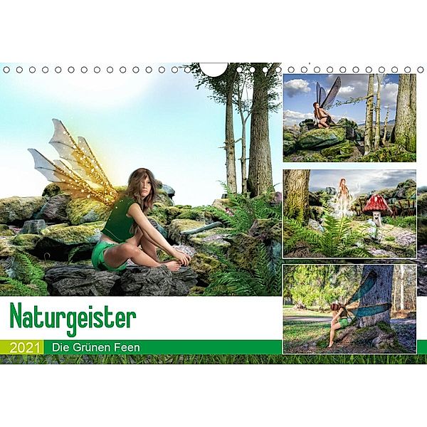 Naturgeister Die Grünen Feen (Wandkalender 2021 DIN A4 quer), Alain Gaymard