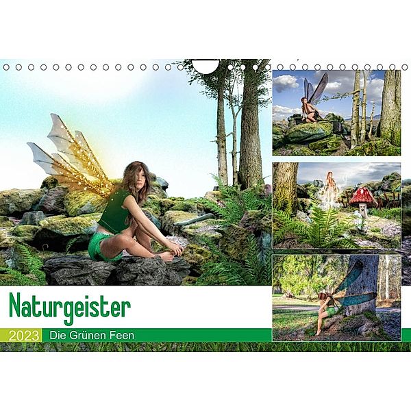 Naturgeister Die Grünen Feen (Wandkalender 2023 DIN A4 quer), Alain Gaymard