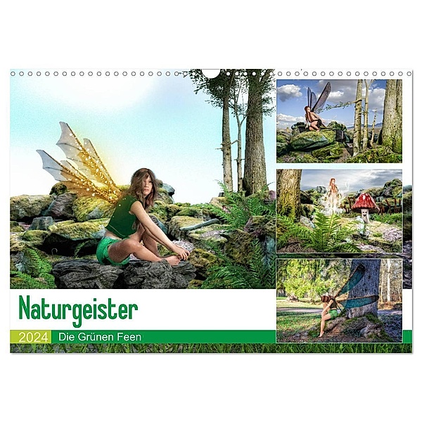 Naturgeister Die Grünen Feen (Wandkalender 2024 DIN A3 quer), CALVENDO Monatskalender, Alain Gaymard