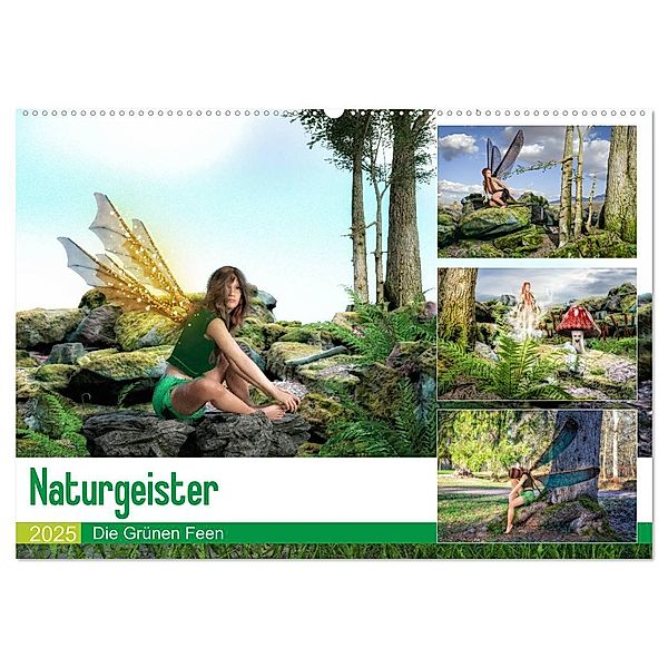 Naturgeister Die Grünen Feen (Wandkalender 2025 DIN A2 quer), CALVENDO Monatskalender, Calvendo, Alain Gaymard