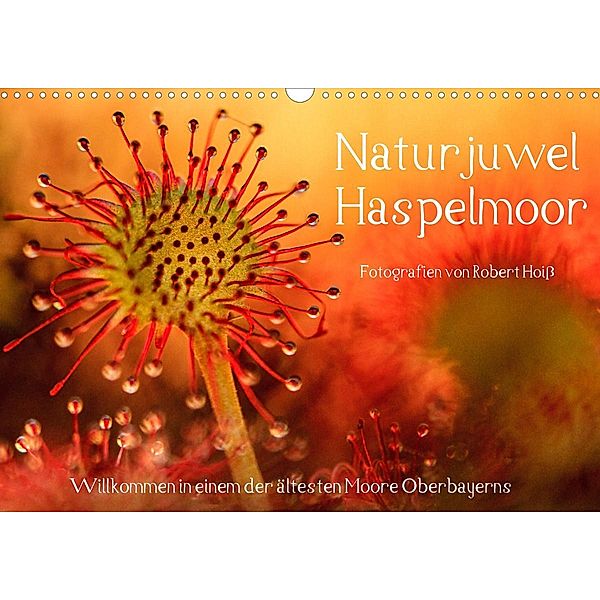 Naturjuwel Haspelmoor (Wandkalender 2023 DIN A3 quer), Robert Hoiss