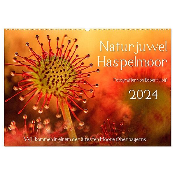 Naturjuwel Haspelmoor (Wandkalender 2024 DIN A2 quer), CALVENDO Monatskalender, Robert Hoiss