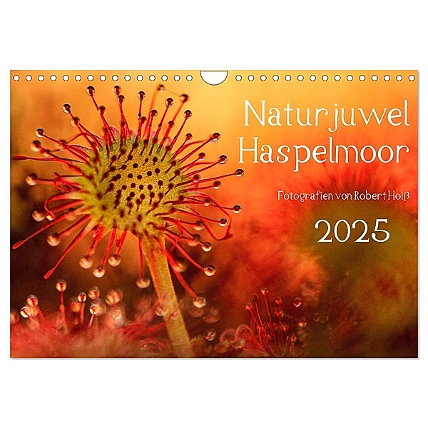 Naturjuwel Haspelmoor (Wandkalender 2025 DIN A4 quer), CALVENDO Monatskalender, Calvendo, Robert Hoiss