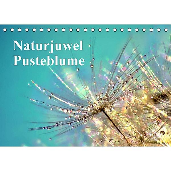 Naturjuwel Pusteblume (Tischkalender 2023 DIN A5 quer), Julia Delgado