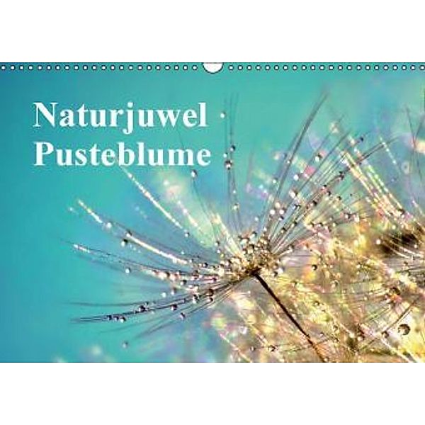 Naturjuwel Pusteblume (Wandkalender 2016 DIN A3 quer), Julia Delgado