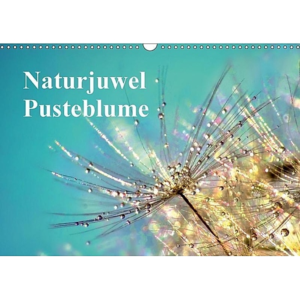 Naturjuwel Pusteblume (Wandkalender 2017 DIN A3 quer), Julia Delgado
