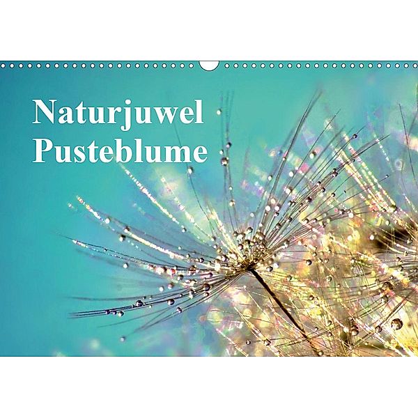 Naturjuwel Pusteblume (Wandkalender 2020 DIN A3 quer), Julia Delgado