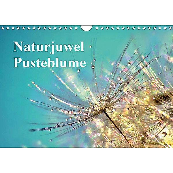 Naturjuwel Pusteblume (Wandkalender 2020 DIN A4 quer), Julia Delgado
