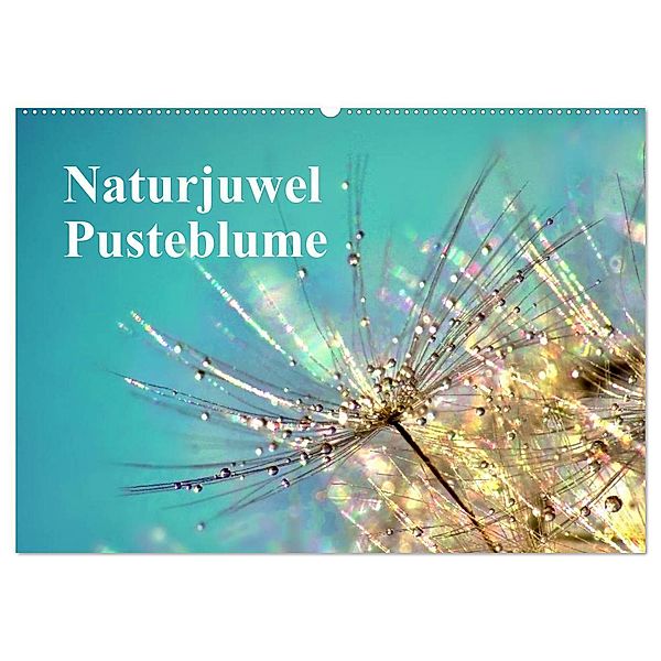 Naturjuwel Pusteblume (Wandkalender 2024 DIN A2 quer), CALVENDO Monatskalender, Julia Delgado