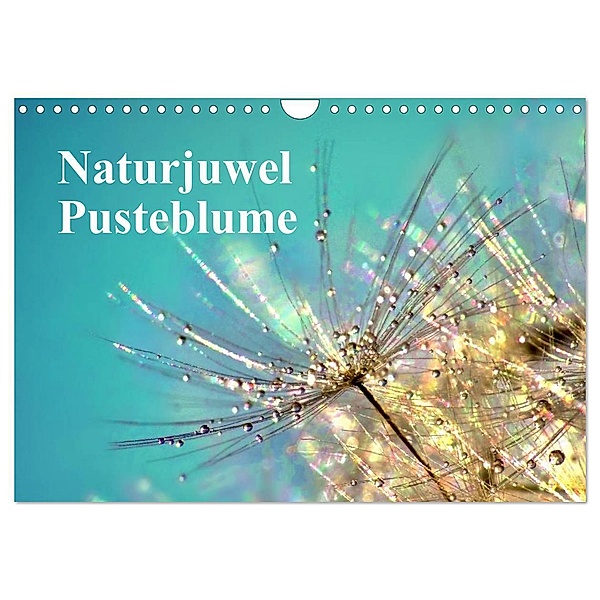 Naturjuwel Pusteblume (Wandkalender 2024 DIN A4 quer), CALVENDO Monatskalender, Julia Delgado