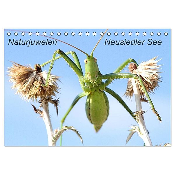 Naturjuwelen - Neusiedler See (Tischkalender 2024 DIN A5 quer), CALVENDO Monatskalender, Günter Bachmeier