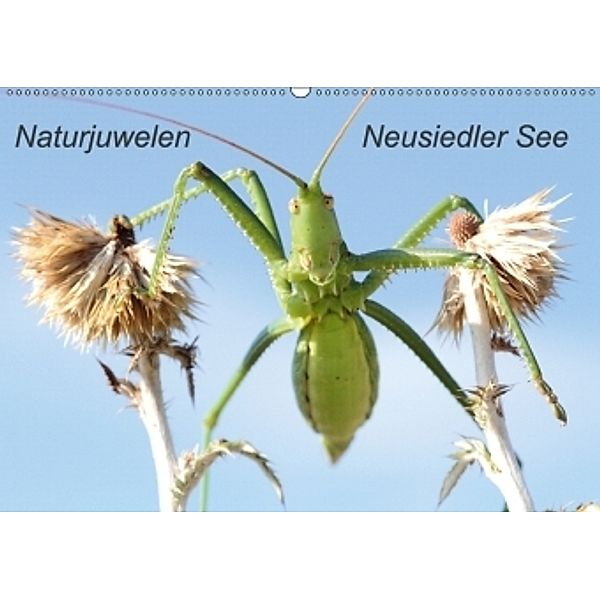 Naturjuwelen - Neusiedler See (Wandkalender 2017 DIN A2 quer), Günter Bachmeier