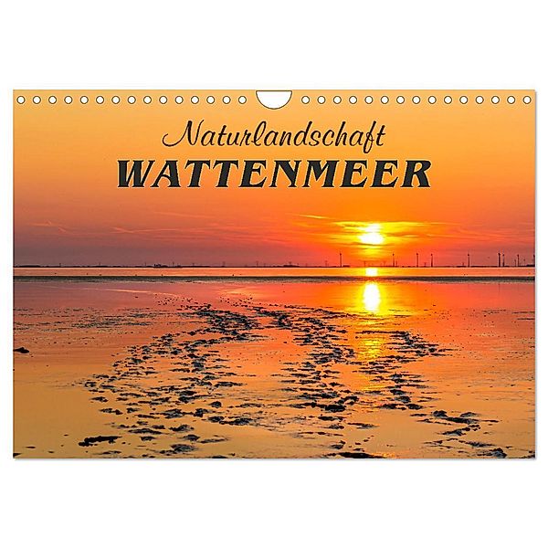 Naturlandschaft WATTENMEER (Wandkalender 2024 DIN A4 quer), CALVENDO Monatskalender, Andrea Dreegmeyer