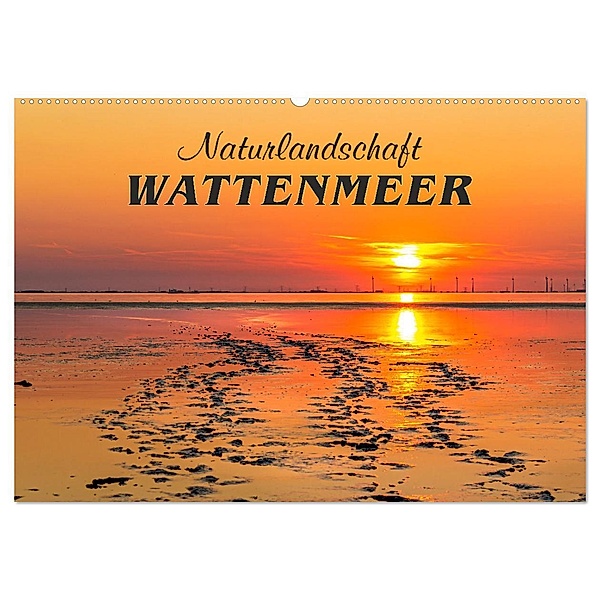 Naturlandschaft WATTENMEER (Wandkalender 2025 DIN A2 quer), CALVENDO Monatskalender, Calvendo, Andrea Dreegmeyer