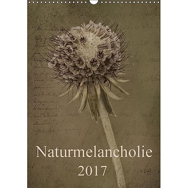 Naturmelancholie 2017 (Wandkalender 2017 DIN A3 hoch), Hernegger Arnold Joseph