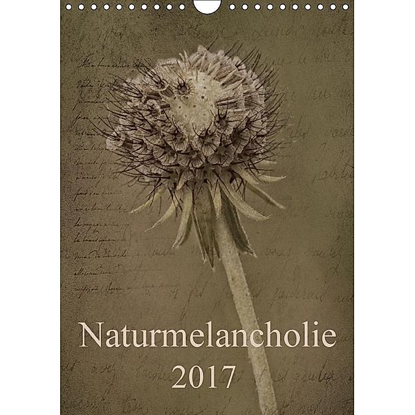 Naturmelancholie 2017 (Wandkalender 2017 DIN A4 hoch), Hernegger Arnold Joseph