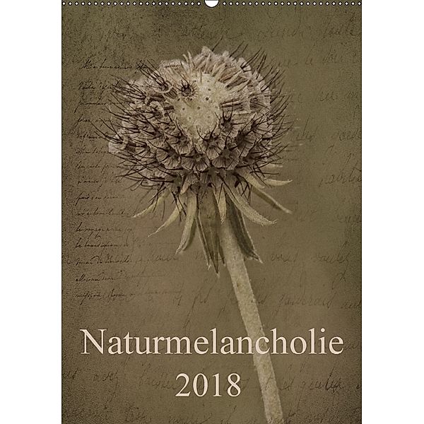 Naturmelancholie 2018 (Wandkalender 2018 DIN A2 hoch), Hernegger Arnold Joseph