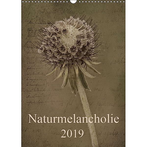 Naturmelancholie 2019 (Wandkalender 2019 DIN A3 hoch), Hernegger Arnold Joseph