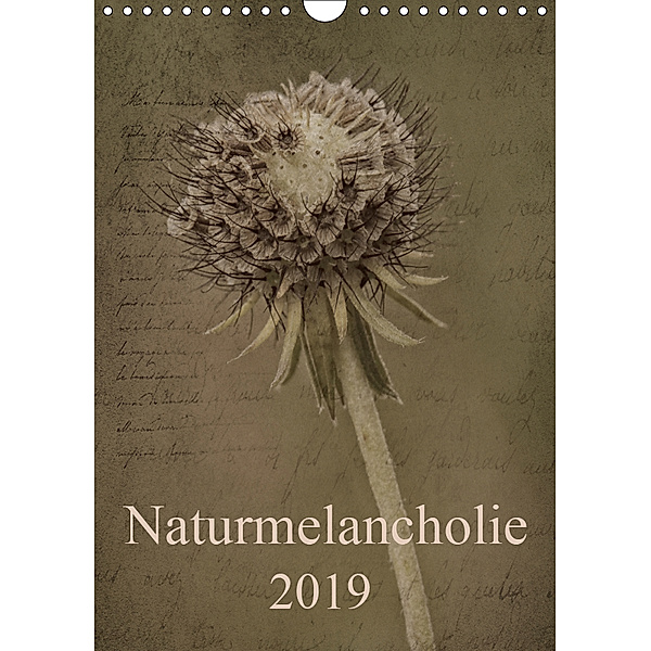 Naturmelancholie 2019 (Wandkalender 2019 DIN A4 hoch), Hernegger Arnold Joseph
