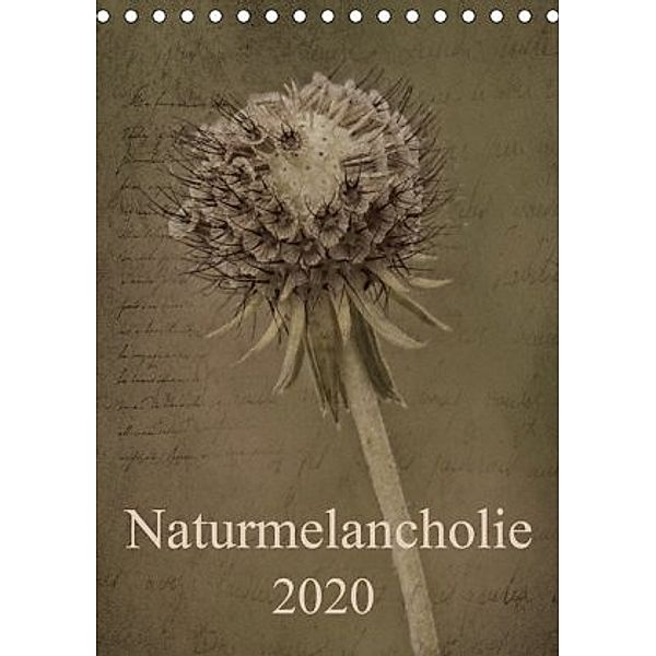 Naturmelancholie 2020 (Tischkalender 2020 DIN A5 hoch), Hernegger Arnold Joseph