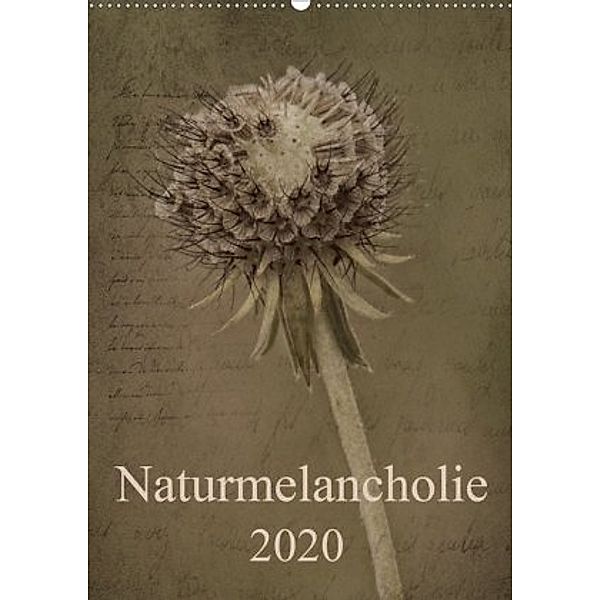 Naturmelancholie 2020 (Wandkalender 2020 DIN A2 hoch), Hernegger Arnold Joseph