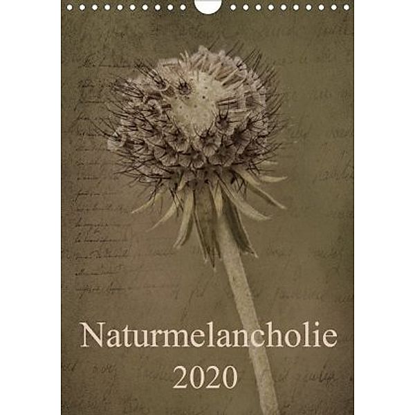 Naturmelancholie 2020 (Wandkalender 2020 DIN A4 hoch), Hernegger Arnold Joseph