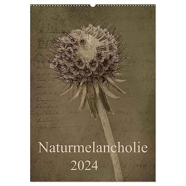 Naturmelancholie 2024 (Wandkalender 2024 DIN A2 hoch), CALVENDO Monatskalender, Hernegger Arnold Joseph