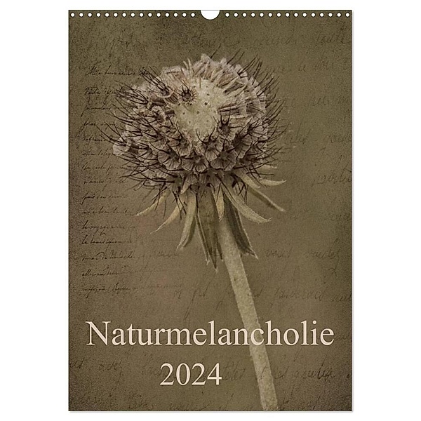 Naturmelancholie 2024 (Wandkalender 2024 DIN A3 hoch), CALVENDO Monatskalender, Hernegger Arnold Joseph