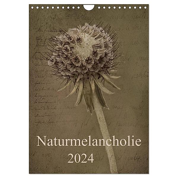 Naturmelancholie 2024 (Wandkalender 2024 DIN A4 hoch), CALVENDO Monatskalender, Hernegger Arnold Joseph