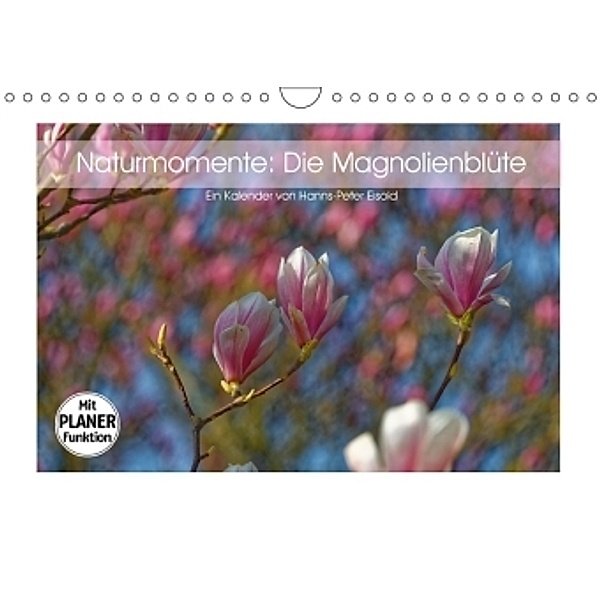 Naturmomente: Die Magnolienblüte (Wandkalender 2017 DIN A4 quer), Hanns-Peter Eisold