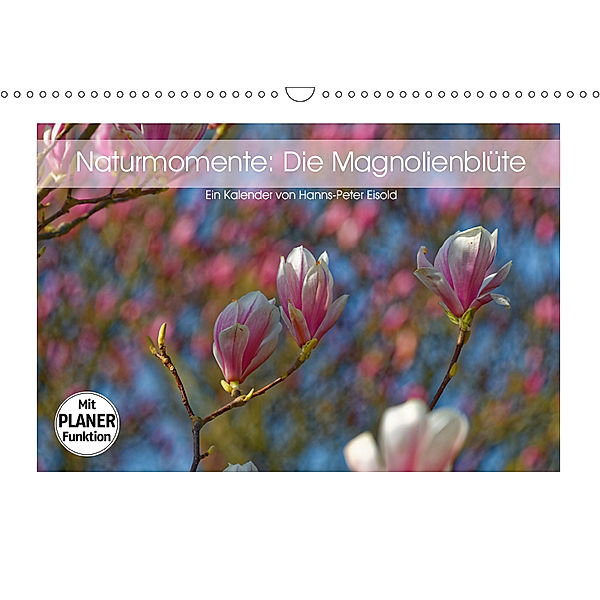 Naturmomente: Die Magnolienblüte (Wandkalender 2019 DIN A3 quer), Hanns-Peter Eisold