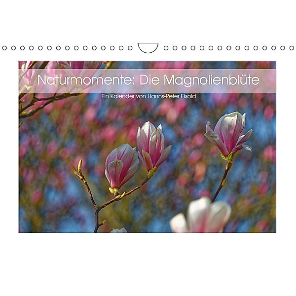 Naturmomente: Die Magnolienblüte (Wandkalender 2019 DIN A4 quer), Hanns-Peter Eisold