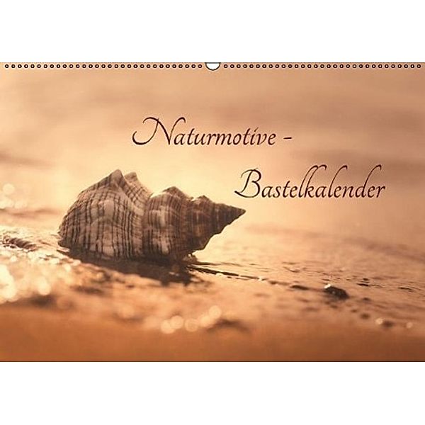 Naturmotive - Bastelkalender (Wandkalender 2017 DIN A2 quer), Tanja Riedel