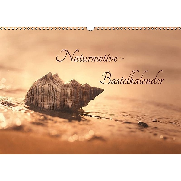 Naturmotive - Bastelkalender (Wandkalender 2017 DIN A3 quer), Tanja Riedel