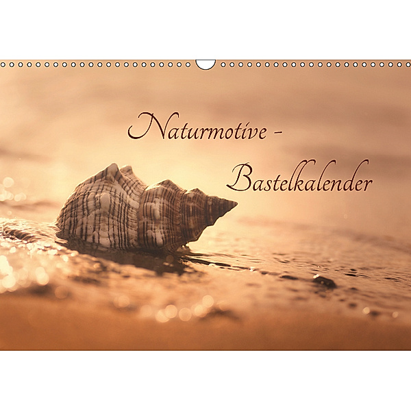 Naturmotive - Bastelkalender (Wandkalender 2019 DIN A3 quer), Tanja Riedel