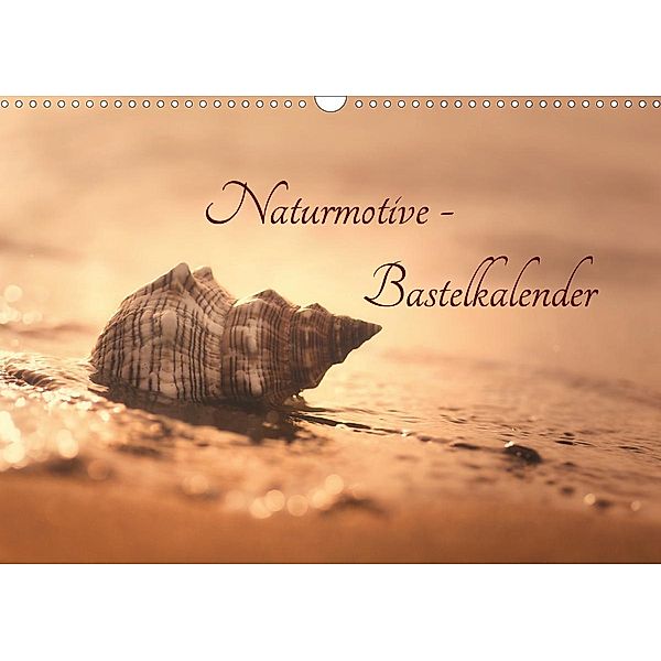 Naturmotive - Bastelkalender (Wandkalender 2021 DIN A3 quer), Tanja Riedel