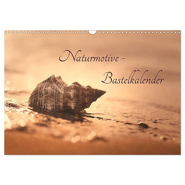 Naturmotive - Bastelkalender (Wandkalender 2024 DIN A3 quer), CALVENDO Monatskalender, Tanja Riedel