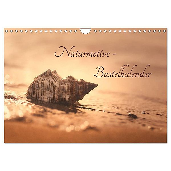 Naturmotive - Bastelkalender (Wandkalender 2024 DIN A4 quer), CALVENDO Monatskalender, Tanja Riedel