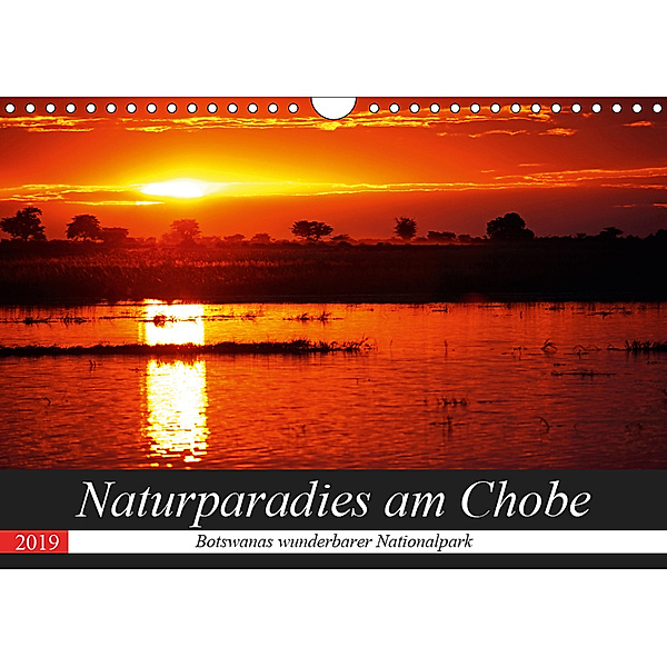 Naturparadies am Chobe - Botswanas wunderbarer Nationalpark (Wandkalender 2019 DIN A4 quer), Wibke Woyke